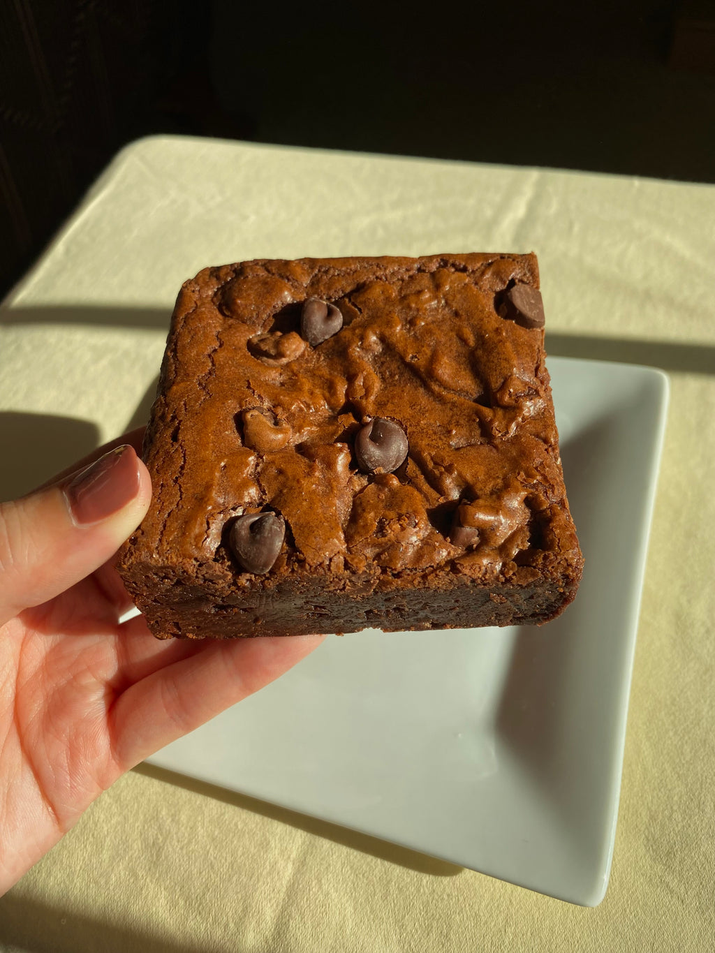 Ultimate Fudgy Brownie